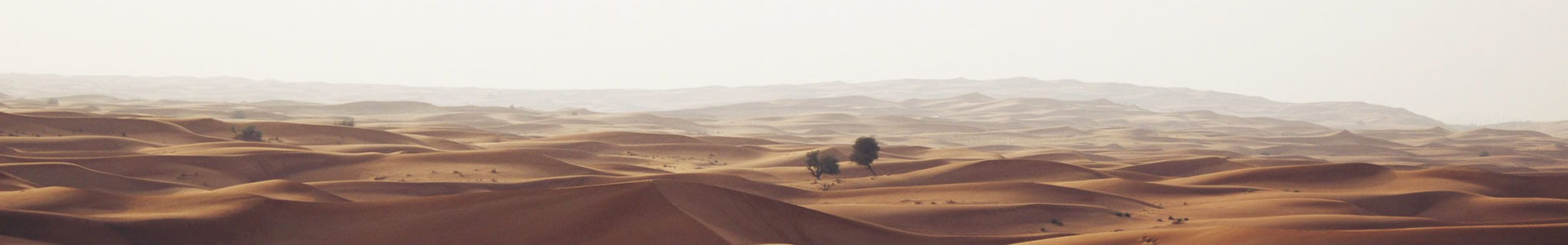 ݸٴƷ޹˾